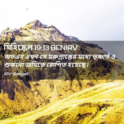 Picture 02 - যিহিষ্কেল 19:13 BENIRV - অতএব এখন সে - Bible Verse Picture