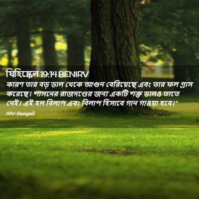 Picture 02 - যিহিষ্কেল 19:14 BENIRV - কারণ তার বড় ডাল - Bible Verse Picture