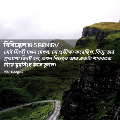 Picture 02 - যিহিষ্কেল 19:5 BENIRV - সেই সিংহী যখন দেখল, - Bible Verse Picture