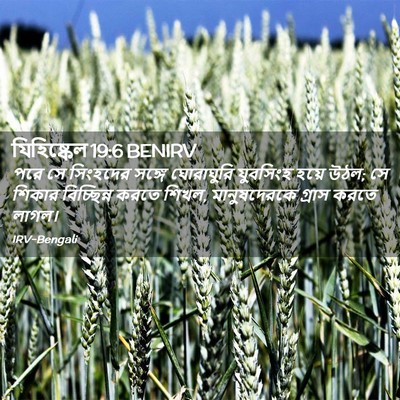 Picture 02 - যিহিষ্কেল 19:6 BENIRV - পরে সে সিংহদের - Bible Verse Picture