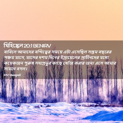 Picture 02 - যিহিষ্কেল 20:1 BENIRV - বাবিলে আমাদের - Bible Verse Picture