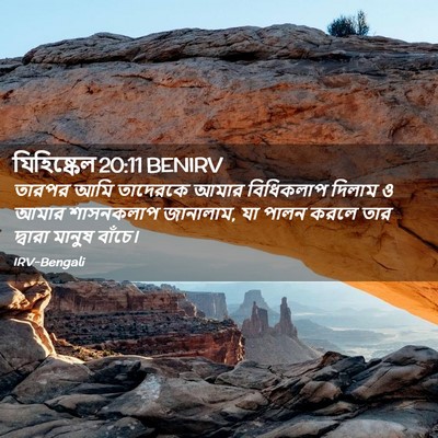 Picture 02 - যিহিষ্কেল 20:11 BENIRV - তারপর আমি তাদেরকে - Bible Verse Picture