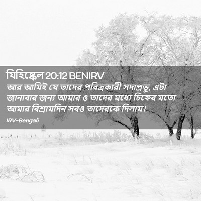 Picture 02 - যিহিষ্কেল 20:12 BENIRV - আর আমিই যে তাদের - Bible Verse Picture