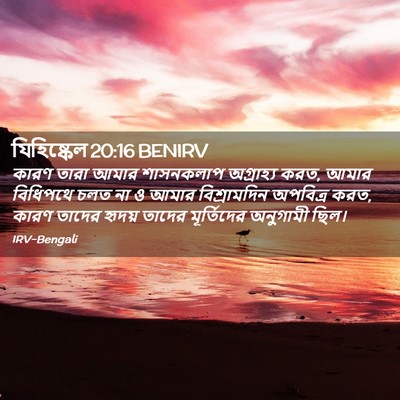 Picture 02 - যিহিষ্কেল 20:16 BENIRV - কারণ তারা আমার - Bible Verse Picture
