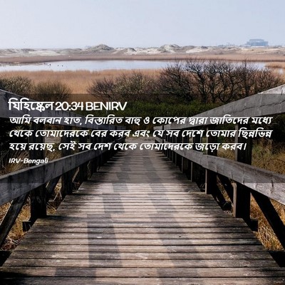 Picture 02 - যিহিষ্কেল 20:34 BENIRV - আমি বলবান হাত, - Bible Verse Picture