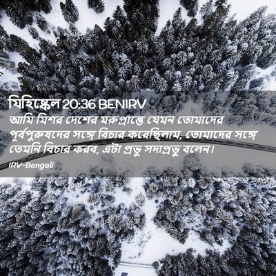 Picture 02 - যিহিষ্কেল 20:36 BENIRV - আমি মিশর দেশের - Bible Verse Picture