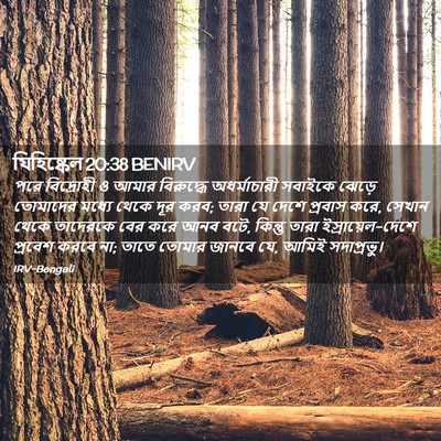 Picture 02 - যিহিষ্কেল 20:38 BENIRV - পরে বিদ্রোহী ও - Bible Verse Picture