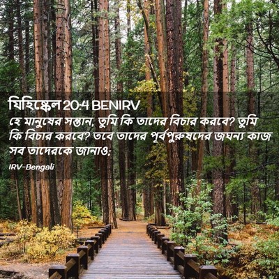 Picture 02 - যিহিষ্কেল 20:4 BENIRV - হে মানুষের সন্তান, - Bible Verse Picture