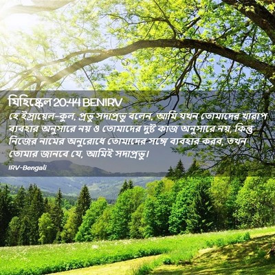 Picture 02 - যিহিষ্কেল 20:44 BENIRV - হে ইস্রায়েল-কুল, - Bible Verse Picture