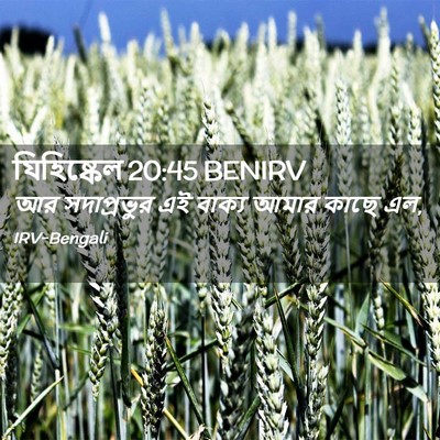 Picture 02 - যিহিষ্কেল 20:45 BENIRV - আর সদাপ্রভুর এই - Bible Verse Picture