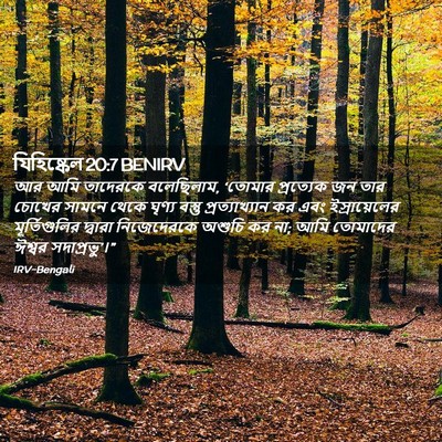 Picture 02 - যিহিষ্কেল 20:7 BENIRV - আর আমি তাদেরকে - Bible Verse Picture