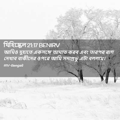Picture 02 - যিহিষ্কেল 21:17 BENIRV - আমিও দুহাতে - Bible Verse Picture