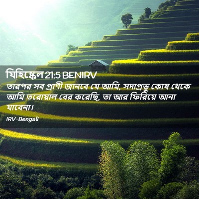 Picture 02 - যিহিষ্কেল 21:5 BENIRV - তারপর সব প্রাণী - Bible Verse Picture