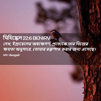 Picture 02 - যিহিষ্কেল 22:6 BENIRV - দেখ, ইস্রায়েলের - Bible Verse Picture