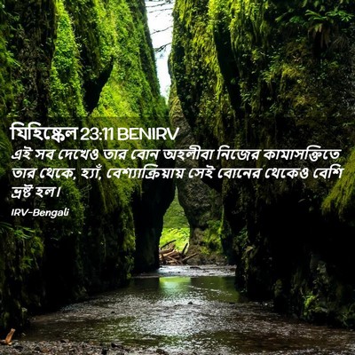 Picture 02 - যিহিষ্কেল 23:11 BENIRV - এই সব দেখেও তার বোন - Bible Verse Picture