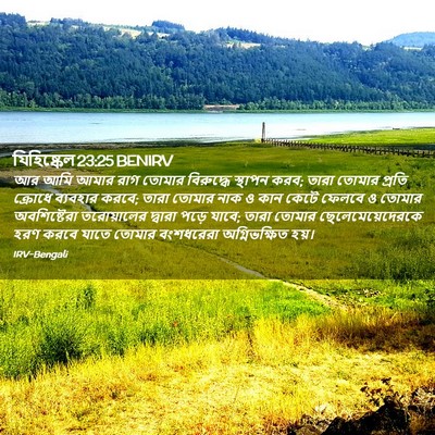 Picture 02 - যিহিষ্কেল 23:25 BENIRV - আর আমি আমার রাগ - Bible Verse Picture
