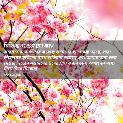 Picture 02 - যিহিষ্কেল 23:37 BENIRV - কারণ তারা - Bible Verse Picture
