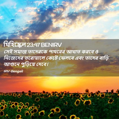 Picture 02 - যিহিষ্কেল 23:47 BENIRV - সেই সমাজ তাদেরকে - Bible Verse Picture