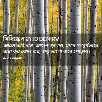 Picture 02 - যিহিষ্কেল 24:10 BENIRV - আরো কাঠ নাও, আগুন - Bible Verse Picture