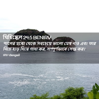 Picture 02 - যিহিষ্কেল 24:5 BENIRV - পালের মধ্যে থেকে - Bible Verse Picture