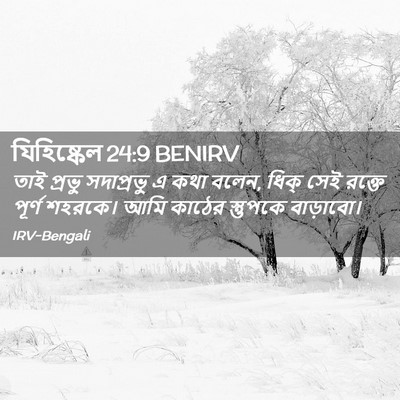 Picture 02 - যিহিষ্কেল 24:9 BENIRV - তাই প্রভু - Bible Verse Picture