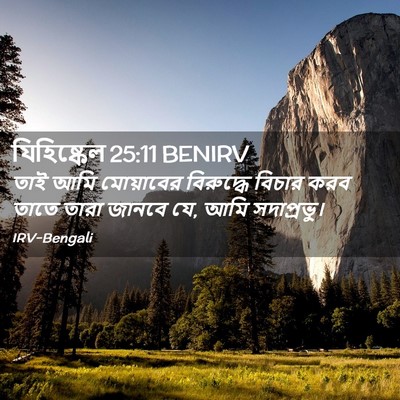 Picture 02 - যিহিষ্কেল 25:11 BENIRV - তাই আমি মোয়াবের - Bible Verse Picture