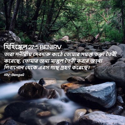 Picture 02 - যিহিষ্কেল 27:5 BENIRV - তারা সনীরীয় - Bible Verse Picture