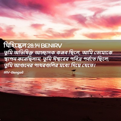 Picture 02 - যিহিষ্কেল 28:14 BENIRV - তুমি অভিষিক্ত - Bible Verse Picture