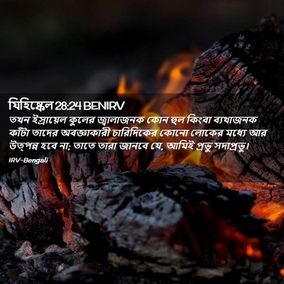 Picture 02 - যিহিষ্কেল 28:24 BENIRV - তখন ইস্রায়েল - Bible Verse Picture