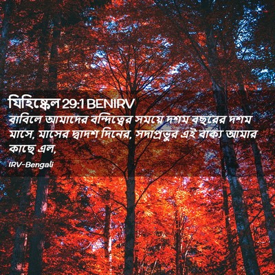 Picture 02 - যিহিষ্কেল 29:1 BENIRV - বাবিলে আমাদের - Bible Verse Picture