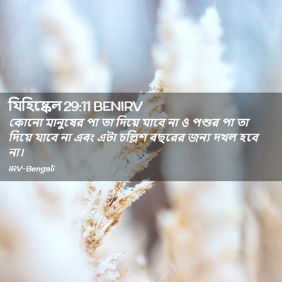 Picture 02 - যিহিষ্কেল 29:11 BENIRV - কোনো মানুষের পা তা - Bible Verse Picture