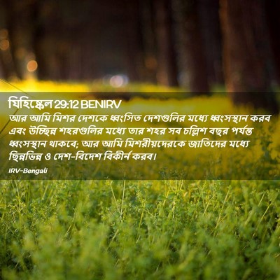 Picture 02 - যিহিষ্কেল 29:12 BENIRV - আর আমি মিশর দেশকে - Bible Verse Picture