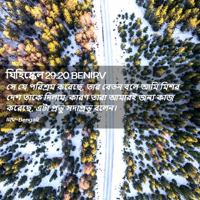 Picture 02 - যিহিষ্কেল 29:20 BENIRV - সে যে পরিশ্রম - Bible Verse Picture
