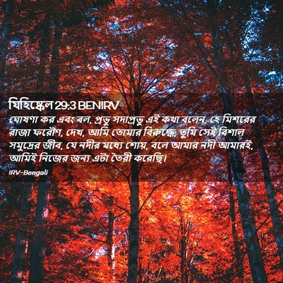 Picture 02 - যিহিষ্কেল 29:3 BENIRV - ঘোষণা কর এবং বল, - Bible Verse Picture