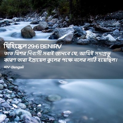 Picture 02 - যিহিষ্কেল 29:6 BENIRV - তাত মিশর নিবাসী - Bible Verse Picture