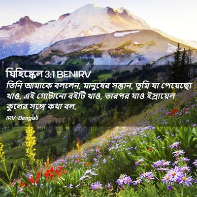 Picture 02 - যিহিষ্কেল 3:1 BENIRV - তিনি আমাকে বললেন, - Bible Verse Picture