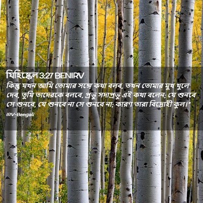 Picture 02 - যিহিষ্কেল 3:27 BENIRV - কিন্তু যখন আমি - Bible Verse Picture
