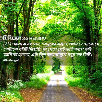Picture 02 - যিহিষ্কেল 3:3 BENIRV - তিনি আমাকে বললেন, - Bible Verse Picture