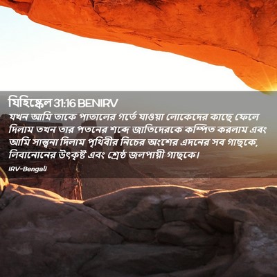 Picture 02 - যিহিষ্কেল 31:16 BENIRV - যখন আমি তাকে - Bible Verse Picture