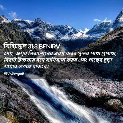 Picture 02 - যিহিষ্কেল 31:3 BENIRV - দেখ, অশূর - Bible Verse Picture