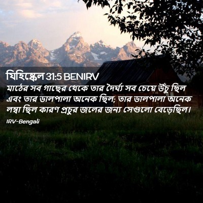 Picture 02 - যিহিষ্কেল 31:5 BENIRV - মাঠের সব গাছের - Bible Verse Picture