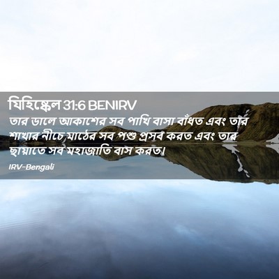Picture 02 - যিহিষ্কেল 31:6 BENIRV - তার ডালে আকাশের সব - Bible Verse Picture