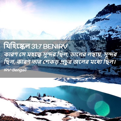 Picture 02 - যিহিষ্কেল 31:7 BENIRV - কারণ সে মহত্বে - Bible Verse Picture