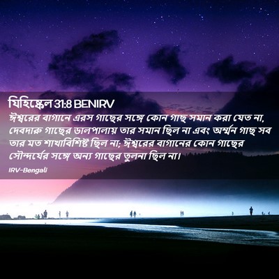 Picture 02 - যিহিষ্কেল 31:8 BENIRV - ঈশ্বরের বাগানে - Bible Verse Picture