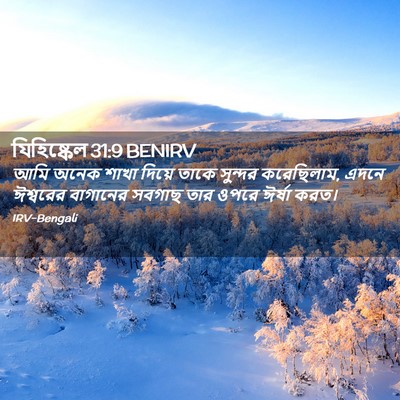 Picture 02 - যিহিষ্কেল 31:9 BENIRV - আমি অনেক শাখা - Bible Verse Picture