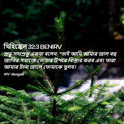 Picture 02 - যিহিষ্কেল 32:3 BENIRV - প্রভু সদাপ্রভু - Bible Verse Picture