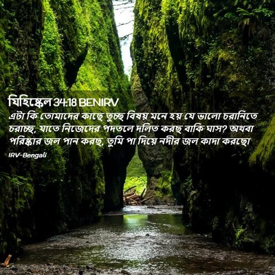 Picture 02 - যিহিষ্কেল 34:18 BENIRV - এটা কি তোমাদের - Bible Verse Picture