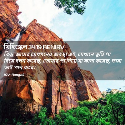 Picture 02 - যিহিষ্কেল 34:19 BENIRV - কিন্তু আমার - Bible Verse Picture