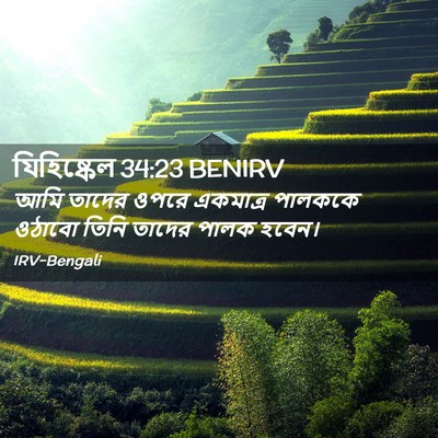 Picture 02 - যিহিষ্কেল 34:23 BENIRV - আমি তাদের ওপরে - Bible Verse Picture