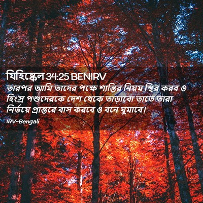 Picture 02 - যিহিষ্কেল 34:25 BENIRV - তারপর আমি তাদের - Bible Verse Picture